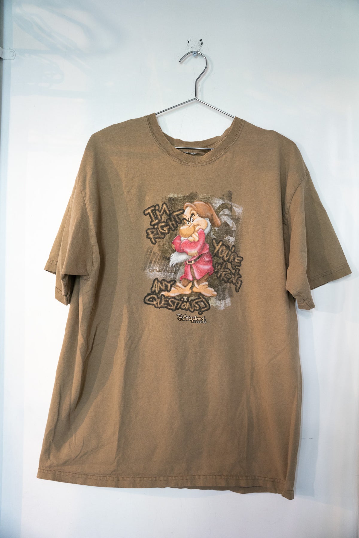 Vintage Disneyland Grumpy I’m Right You’re Wrong Shirt Size XL