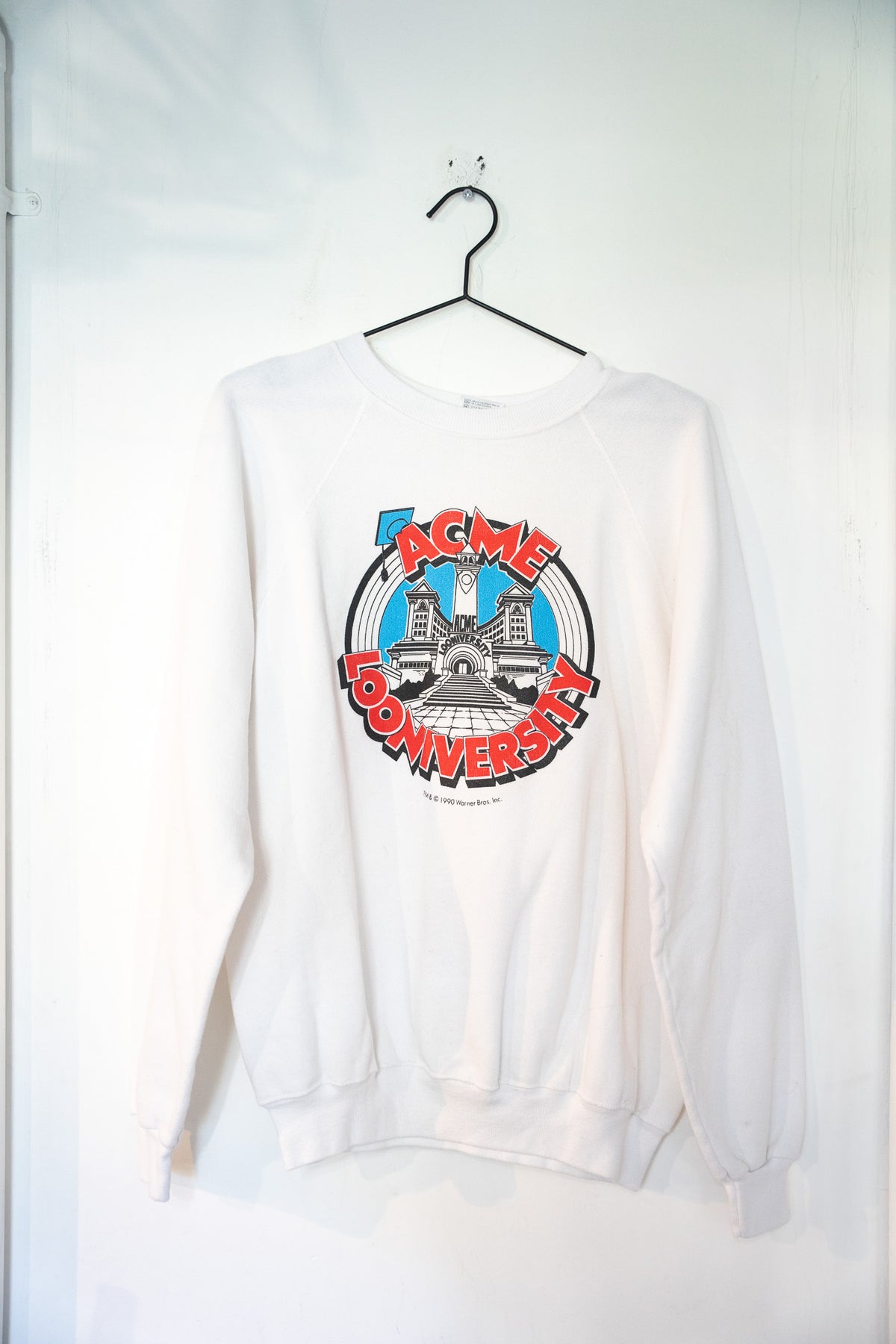 1990 Warner Bros ACME Looniversity Sweater Size XL
