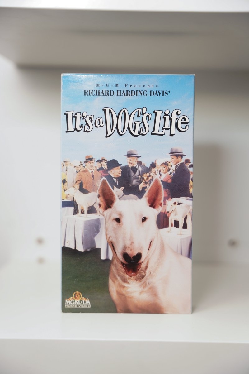 VHS It's a Dog's Life blue sky cover MGM white Bull Terrier dog show scene 1950s spectators It's a DOG'S Life text MGM UA Home Video