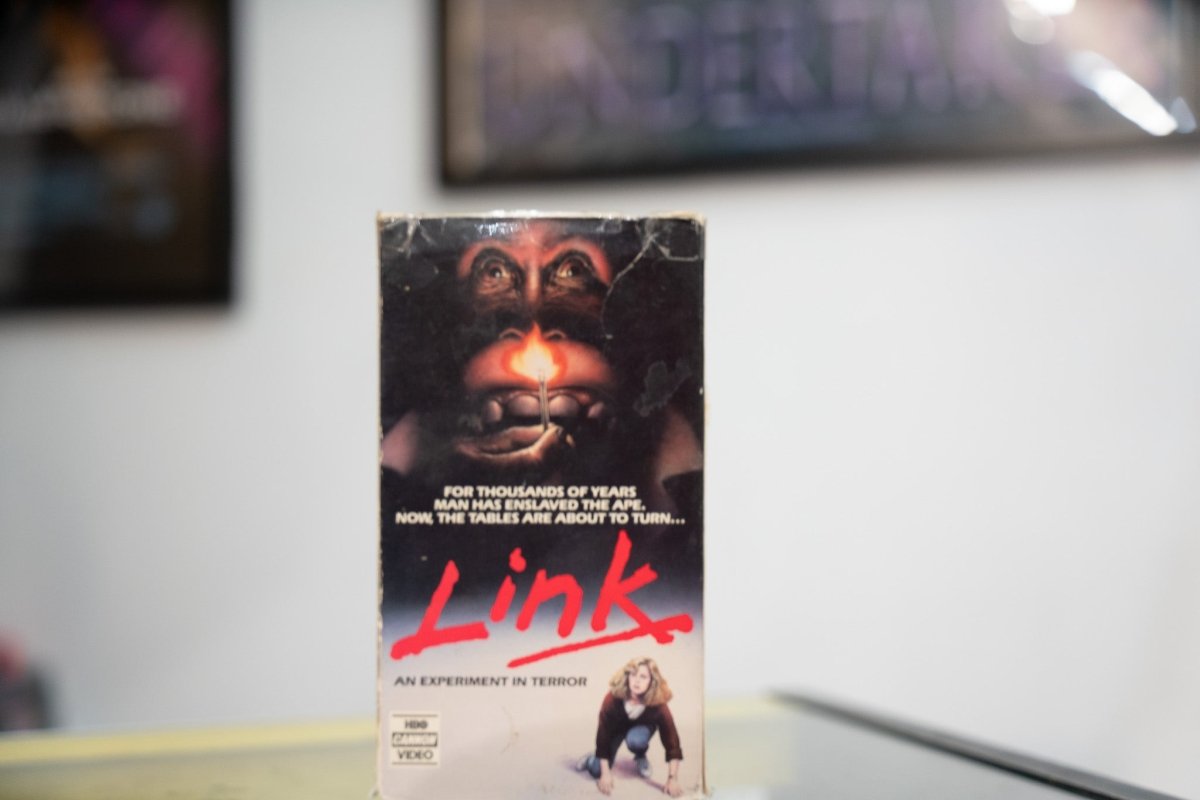 Link VHS dark sleeve with orangutan face holding lit match intense eyes red Link script Elisabeth Shue crouched below HBO Cannon Video