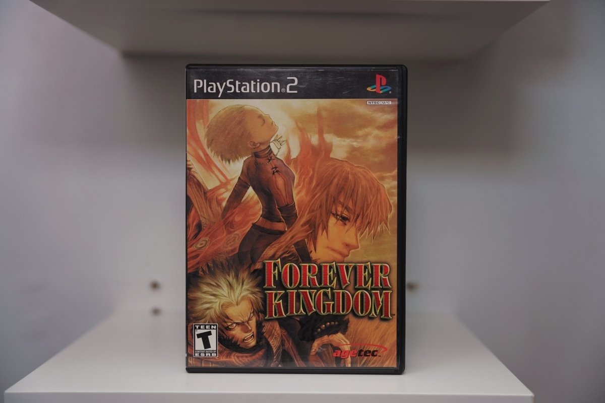 PS2 Forever Kingdom CIB case three anime characters blonde woman red-haired man muscular man orange sky FOREVER KINGDOM gold text Agetec Teen
