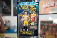 2002 Wrestlemania X8 Billy Gunn Tag Team Champ Jakks Pacific Wrestling Figure