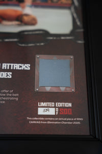WWE John Cena Elimination Chamber "Heel Turn" Plaque/ Mat Relic. 339 Of 500