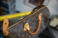 2013 Louis Vuitton SD0113 Speedy Bag