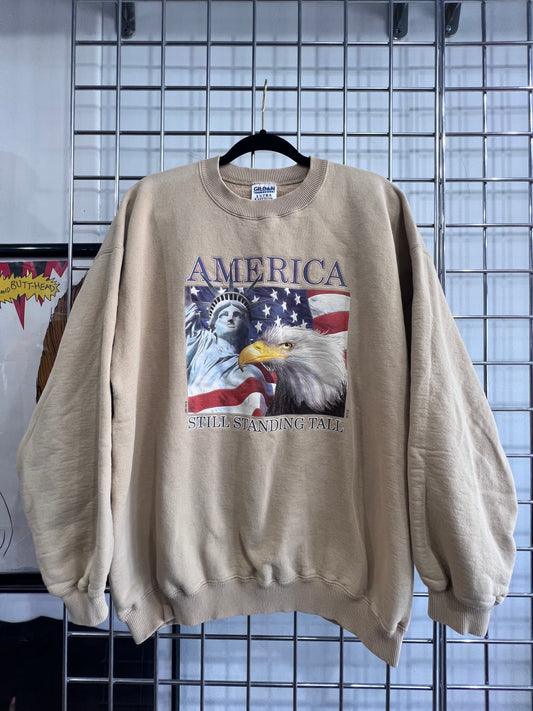 2001 America Eagle Sweater