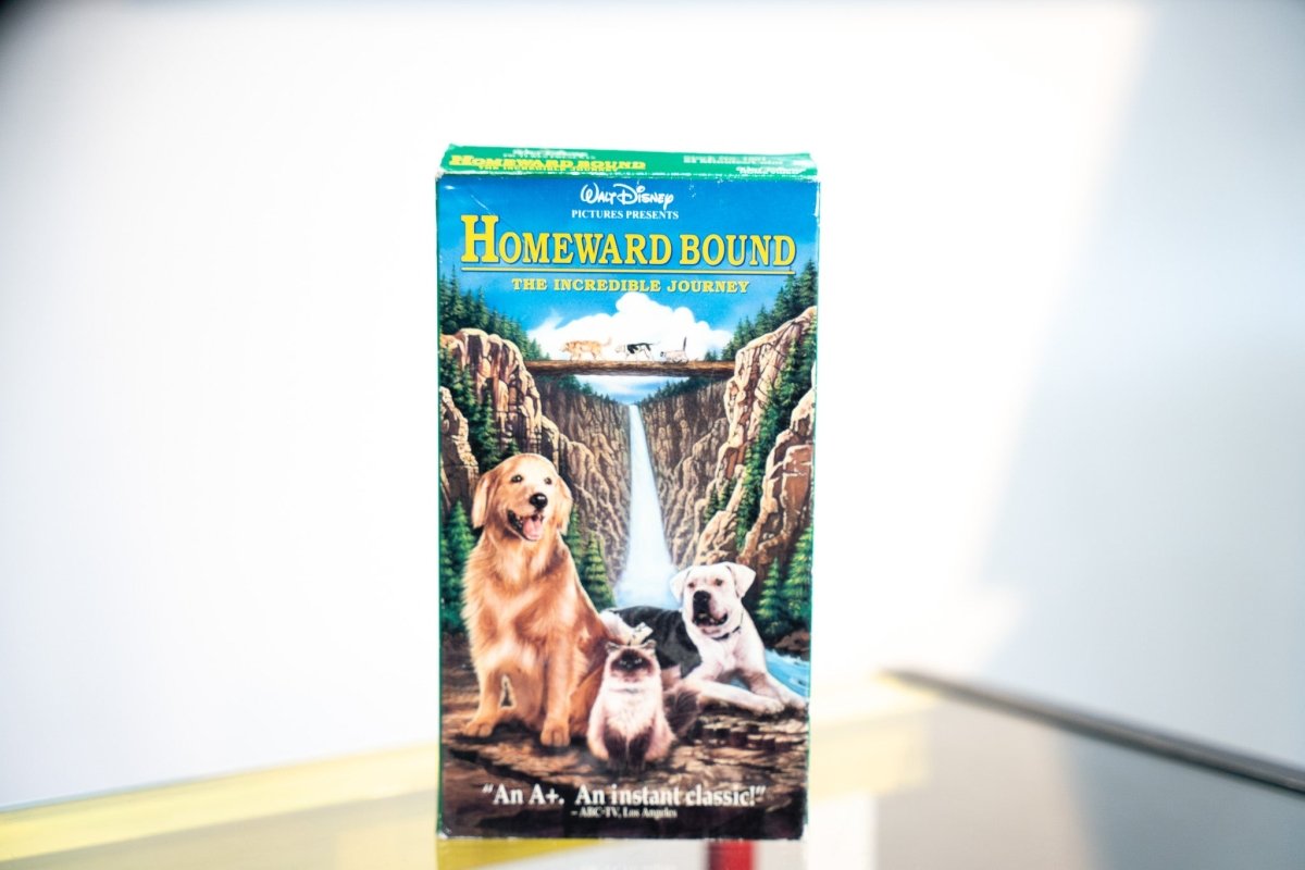 Homeward Bound The Incredible Journey VHS with illustrated waterfall wilderness golden retriever cat bulldog Walt Disney gold title An A Plus quote