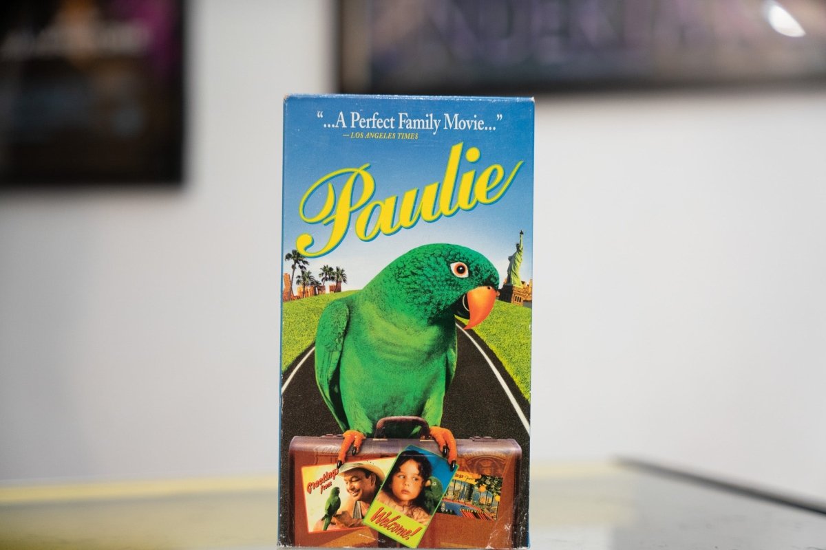 Blue Paulie VHS with green parrot carrying suitcase on road yellow Paulie cursive title and Los Angeles Times Perfect Family Movie quote